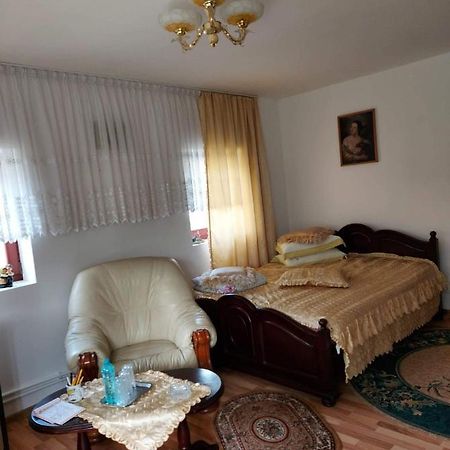 Casa Rodica Apartment Ватра Дорней Екстериор снимка