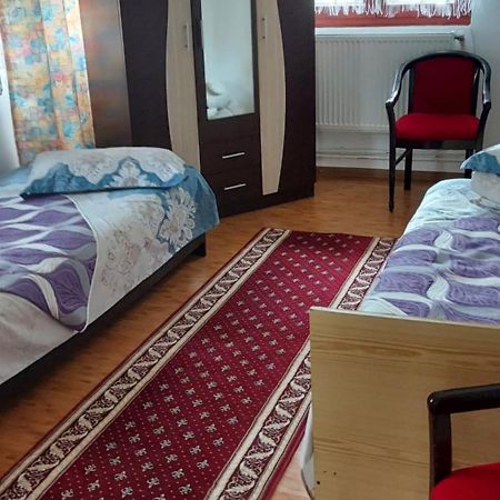 Casa Rodica Apartment Ватра Дорней Екстериор снимка