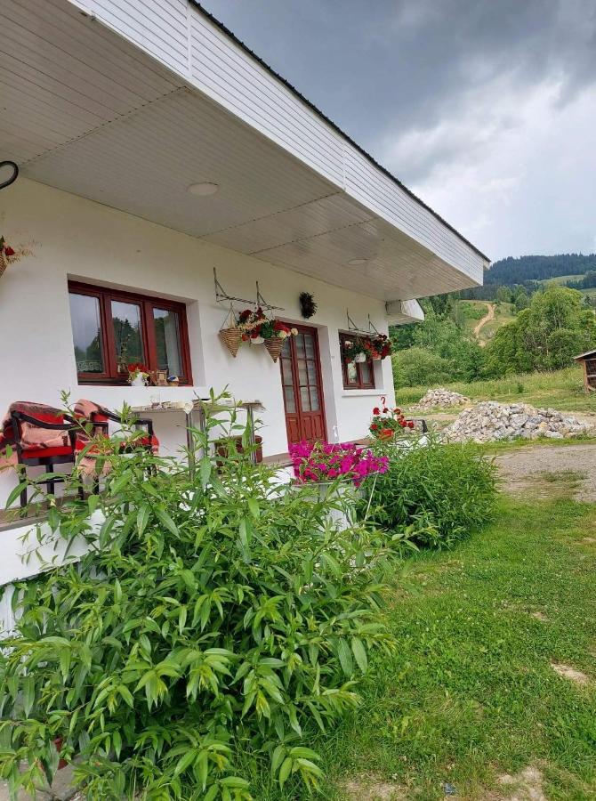 Casa Rodica Apartment Ватра Дорней Екстериор снимка