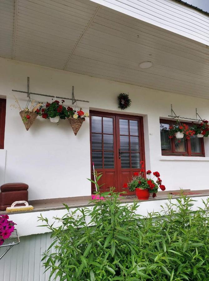 Casa Rodica Apartment Ватра Дорней Екстериор снимка