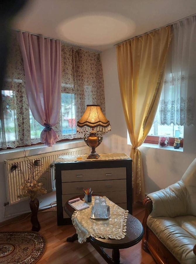 Casa Rodica Apartment Ватра Дорней Екстериор снимка