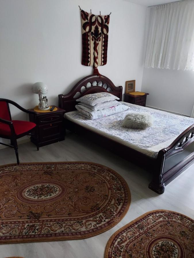Casa Rodica Apartment Ватра Дорней Екстериор снимка